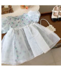 Summer wear | Lavender Blue Party Dress | Code: 20(B)