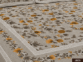 Golden Flora | JB09 - Image 2