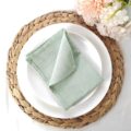 Dinner Napkins (Set of 2) - Mint