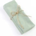 Dinner Napkins (Set of 2) - Mint - Image 2
